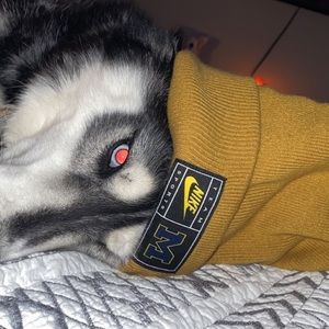 Meet your Posher, Brooke